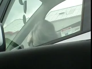 Strapon сончево леоне ка хинди млади bf во близина на базен светкави