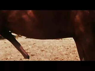 Навестување и хинди секси Индискиот видео јавна голотија, тогаш тој